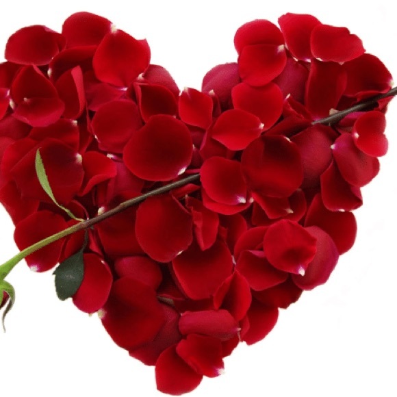 Meet your Posher, Gloria - Picture 8 of 15